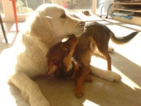 Jak se mají Tara a Benjamin